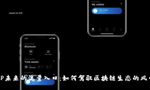 TP未来的流量入口：如何驾驭区块链生态的风口